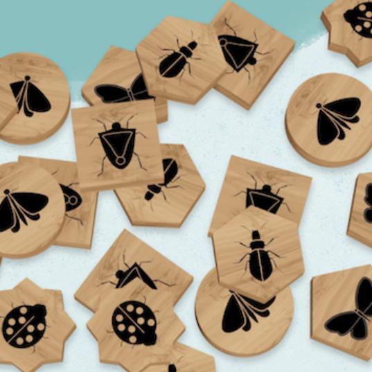 Origames - Oiseaux De Paradis - Jetons En Bois Deluxe - Limolin 