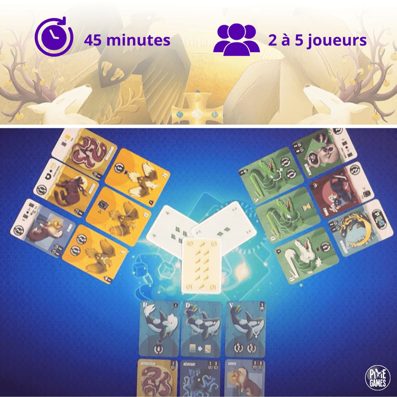 KINGS TRICKTAKERS (FR)