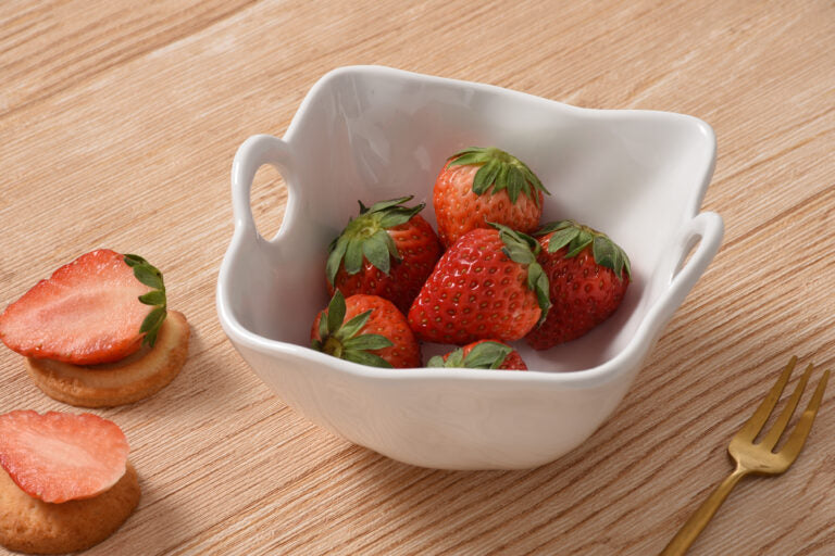 Pampa Bay - Ivy Melamine snack bowl - Limolin 