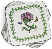 Pimpernel - Botanic Garden Coasters (Set of 6) | 4 x 4 in - Limolin 