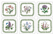 Pimpernel - Botanic Garden Coasters (Set of 6) | 4 x 4 in - Limolin 
