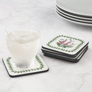 Pimpernel - Botanic Garden Coasters (Set of 6) | 4 x 4 in - Limolin 