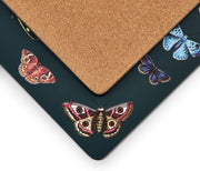 Pimpernel - Pimpernel Botanic Garden Harmony Placemats (Set of 4) | 15.7 x 11.7 in - Limolin 
