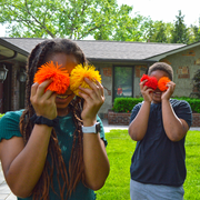 Play Monster - Koosh - 3" Classic Ball CDU (EN) - Limolin 