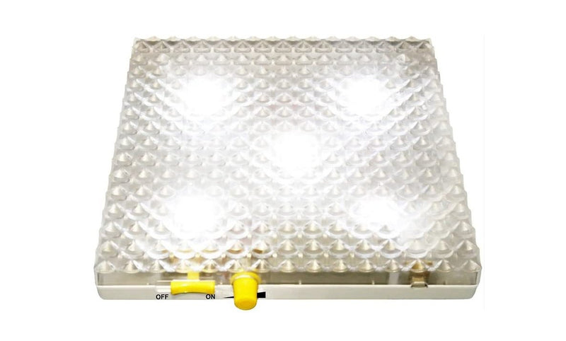 Popular Playthings - Playstix Light Board (Bilingual) - Limolin 