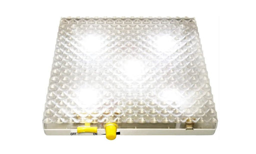 Popular Playthings - Playstix Light Board (Bilingual) - Limolin 