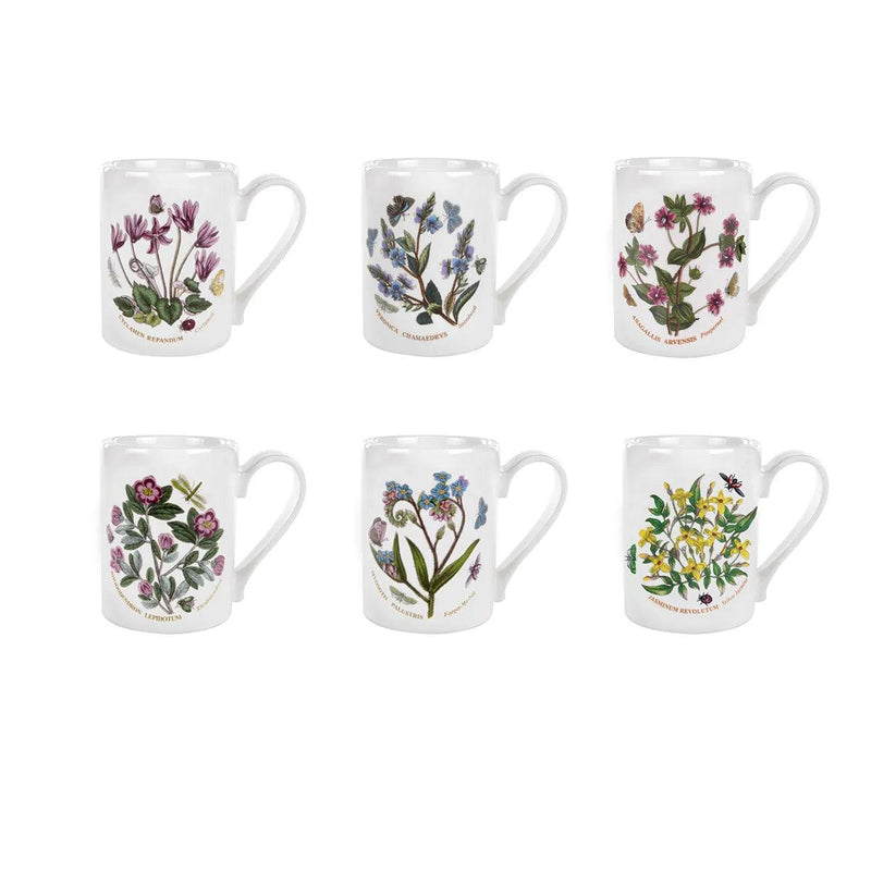 Portmeirion - Botanic Garden Coffee Mugs (Set of 6) | 9 oz - Limolin 