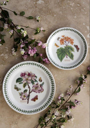 Portmeirion - Botanic Garden Flowering Almond Dinner Plate | 10.5 in - Limolin 