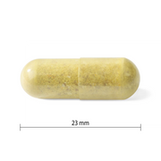 Progressive - MultiVitamins Active Men 120Vcap - Limolin 