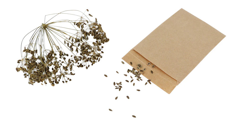 REDECKER - Seed Bags 10/Pk - Limolin 