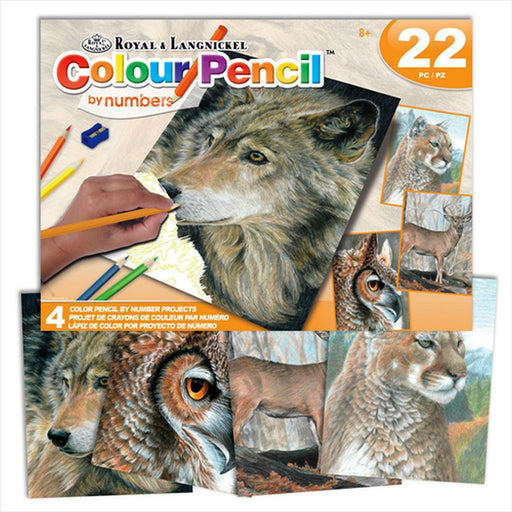 ROYAL - Color Pencil Set - American Wildlife - Limolin 