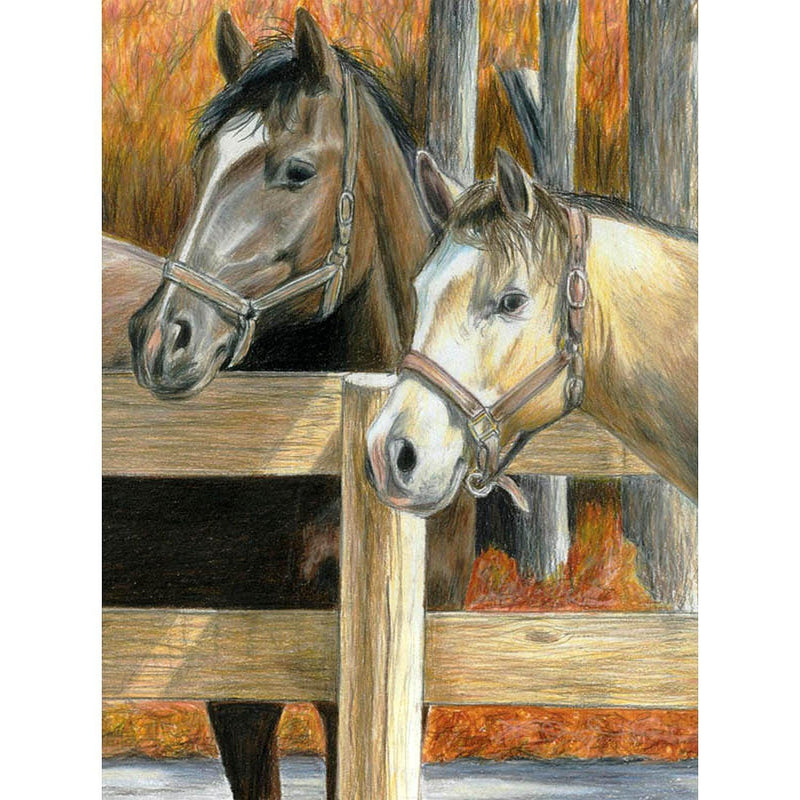 ROYAL - Color Pencil Set - Horse and Puppy - Limolin 