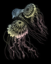 ROYAL - EGRVart Jellyfish - Limolin 