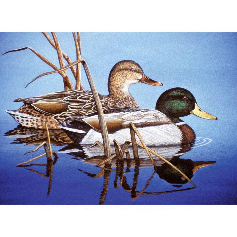 ROYAL - Large PBN Blue Water Mallards - Limolin 