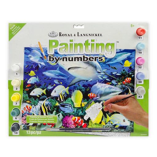 ROYAL - Large PBN Reef Sharks - Limolin 