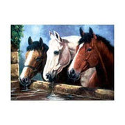 ROYAL - Large PBN Three of A Kind - Limolin 