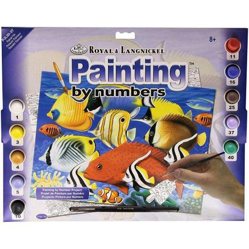 ROYAL - Large PBN Tropical Fish - Limolin 