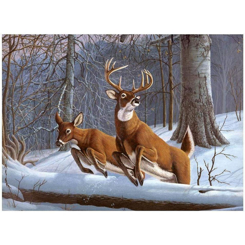 ROYAL - Large PBN White Tails - Limolin 