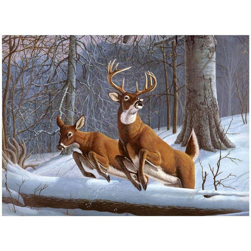 ROYAL - Large PBN White Tails - Limolin 