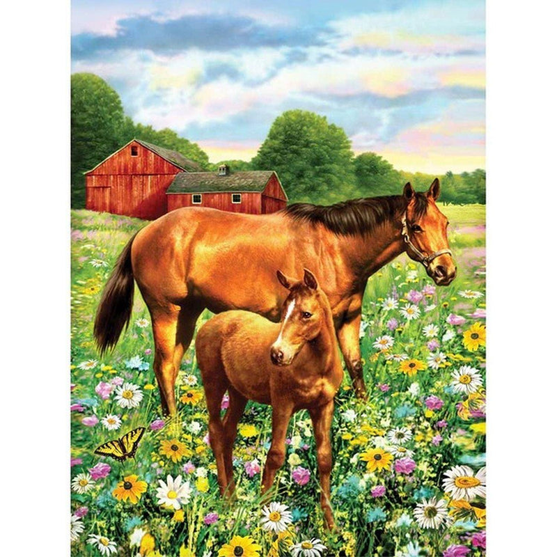 ROYAL - PBN Horsein Field - Limolin 