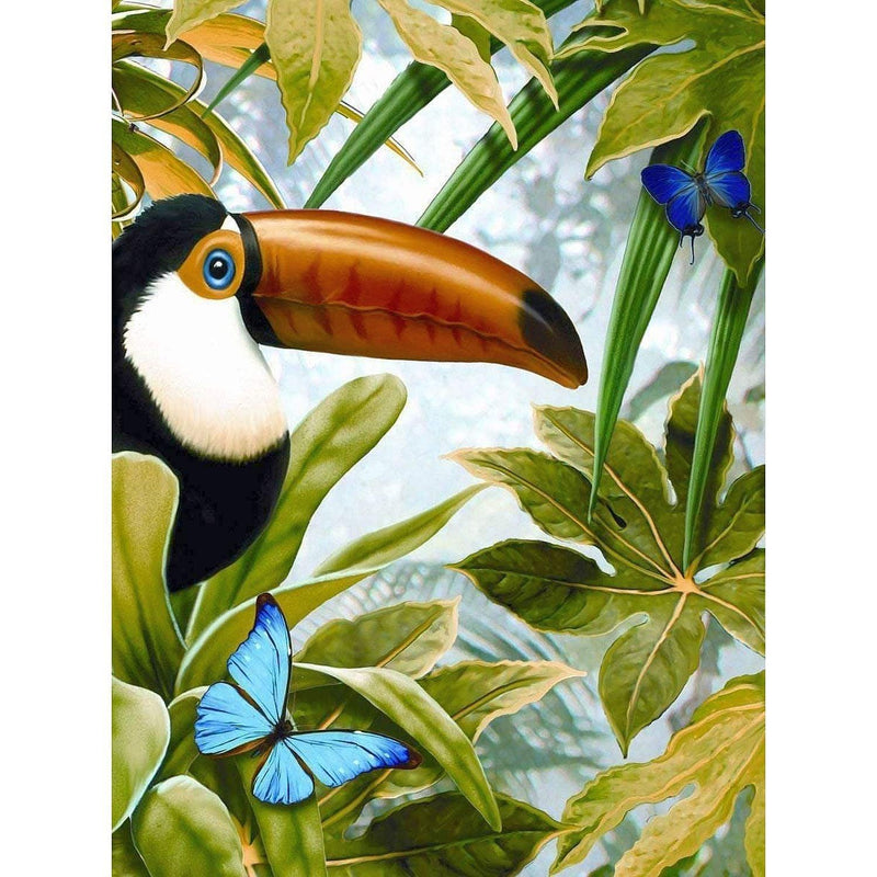 ROYAL - PBN Jungle Toucan - Limolin 
