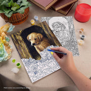 ROYAL - PBN Labrador Puppy - Limolin 