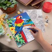 ROYAL - PBN Scarlet Macaw - Limolin 