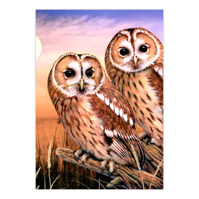 ROYAL - PBN Tawny Owls - Limolin 