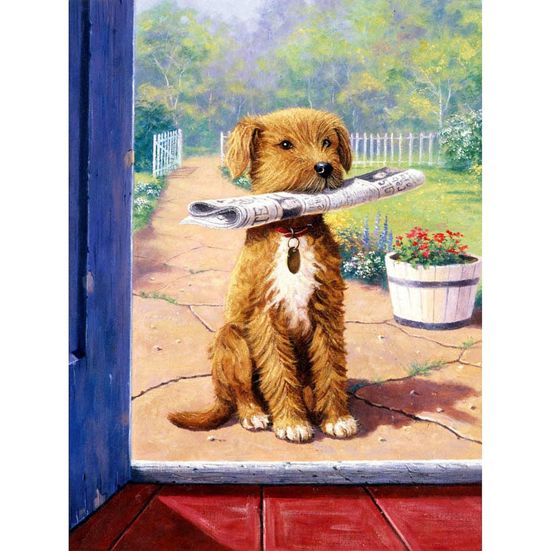 ROYAL - PBN The News Boy - Limolin 