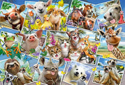 Schmidt Spiele - Puzzle - Animal Selfies (200-Piece Puzzle) - Limolin 