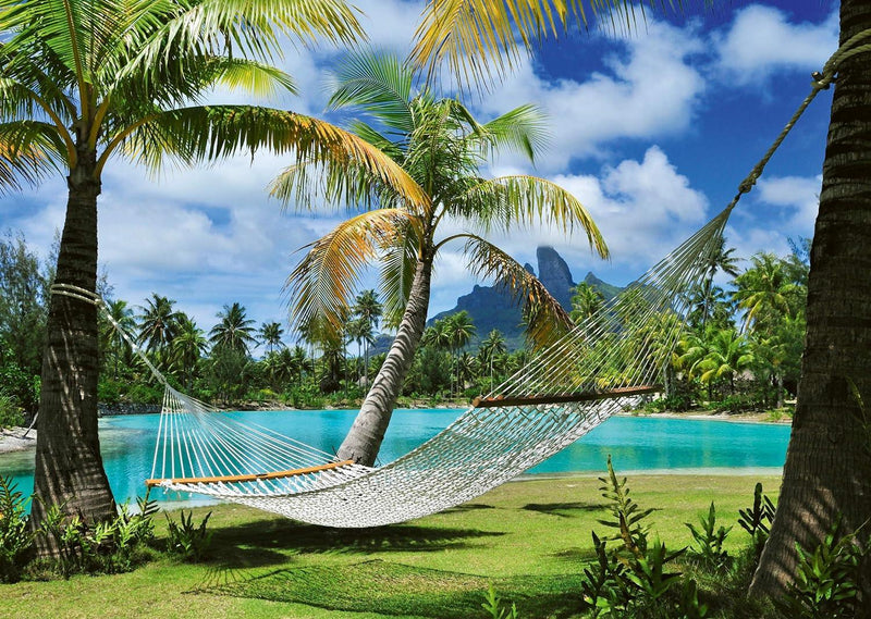 Schmidt Spiele - Puzzle - Free Time (1000-Piece Puzzle) - Limolin 