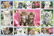 Schmidt Spiele - Puzzle - Kittens (100-Piece Puzzle) - Limolin 