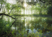 Schmidt Spiele - Puzzle - Lush Vegetation - Stefan Hefele (1000-Piece Puzzle) - Limolin 