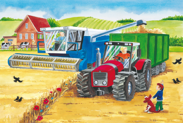 Schmidt Spiele - Puzzle - Pz 3X24 - At The Farm - Limolin 