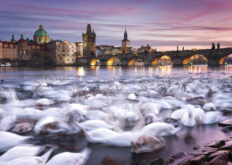 Schmidt Spiele - Puzzle - Swans In Prague - Christian Ringes (1000-Piece Puzzle) - Limolin 