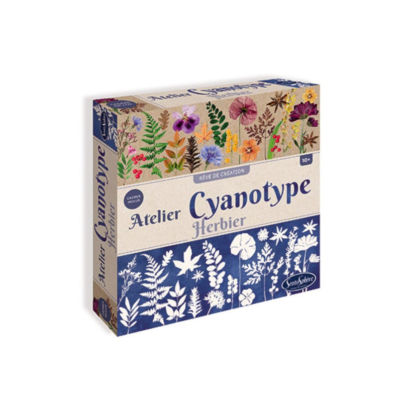 Sentosphere - Atelier Cyanotype Herbier - Limolin 
