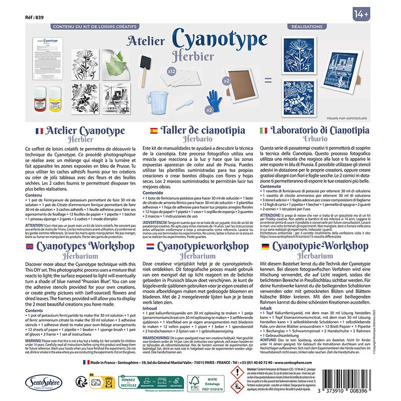 Sentosphere - Atelier Cyanotype Herbier - Limolin 