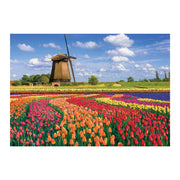 Sentosphere - Puzzles 1000 pieces 685X480mm LANDSCAPE - Tulip fields - Hol - Limolin 