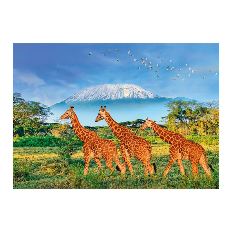 Sentosphere - Puzzles 500 pieces XL 685X480mm Giraffes - Limolin 