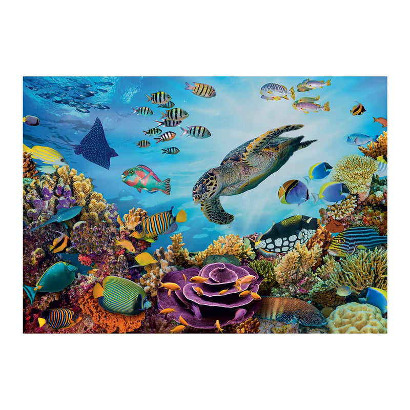 Sentosphere - Puzzles 500 pieces XL 685X480mm Seabed - Limolin 