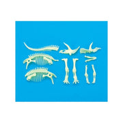 Small Foot - Glow Dinos Triceratops Skeleton - Limolin 