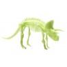Small Foot - Glow Dinos Triceratops Skeleton - Limolin 