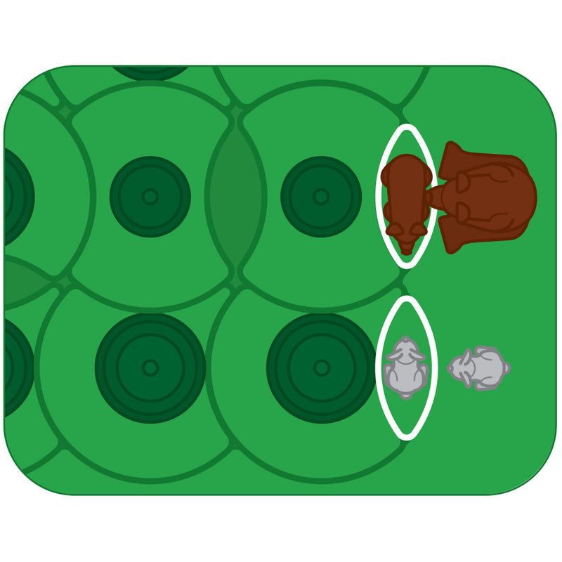 Smart Games - Grizzly Gears - Limolin 