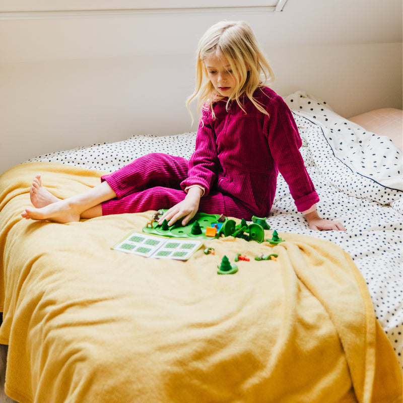 Smart Games - Parc"Ours En Foret (FR) - Limolin 