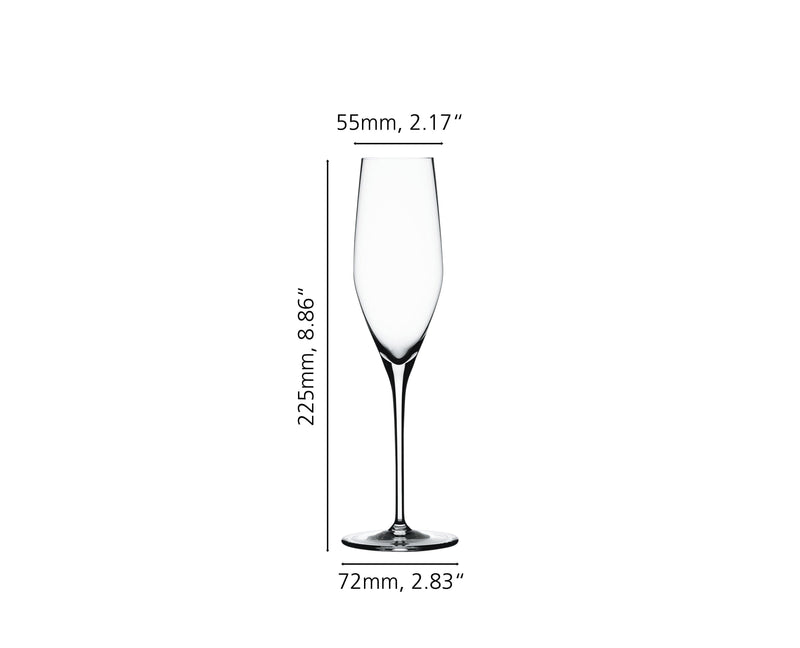 Spiegelau - AUTHENTIS - Champagne Flute (Set of 4) | 6 oz - Limolin 