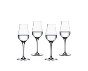 Spiegelau - AUTHENTIS - Digestive (Set of 4) | 6 oz - Limolin 