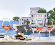 Spiegelau - SPECIAL GLASSES - Rose Glass (Set of 4) | 16 oz - Limolin 