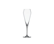 Spiegelau - Willsberger Anniversary - Champagne Glass (Set of 4) | 8.5 oz - Limolin 