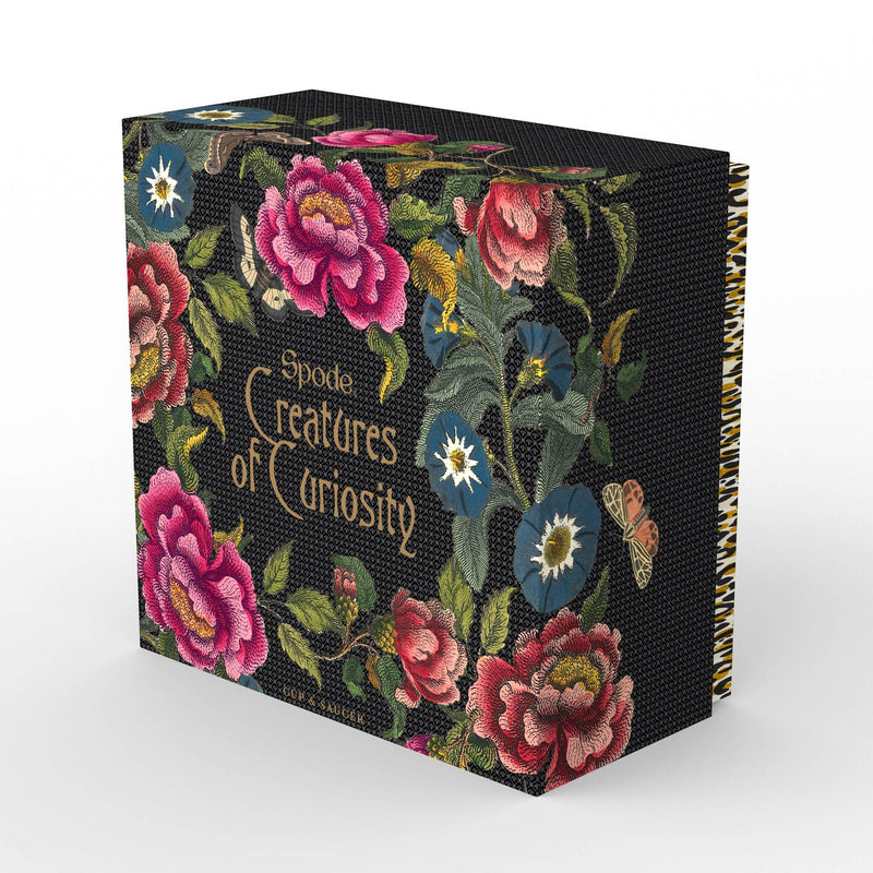 Spode - Creatures of Curiosity - Floral Teacup & Saucer - Limolin 