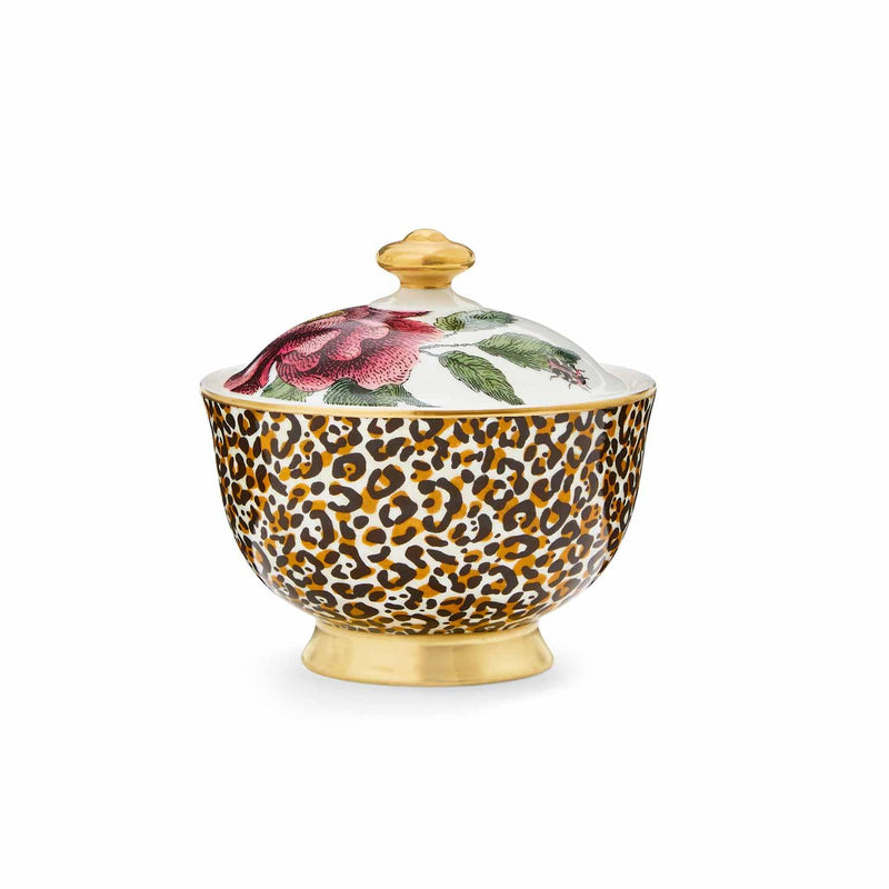 Spode - Creatures of Curiosity - Leopard Sugar Bowl | 7 oz - Limolin 